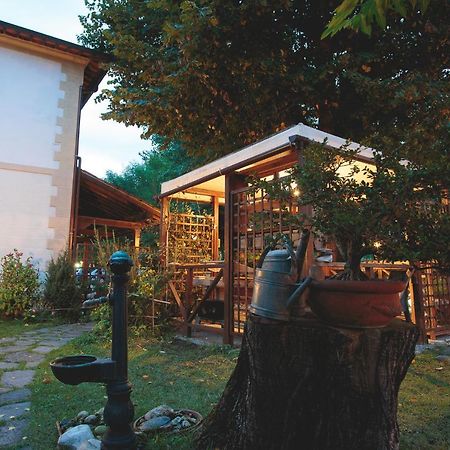 Hotel Giuly Torre del Lago Puccini Exterior photo